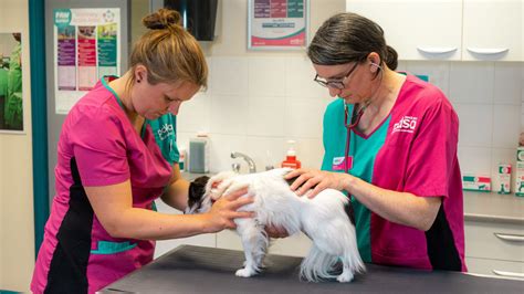 nearest pdsa vets to me.